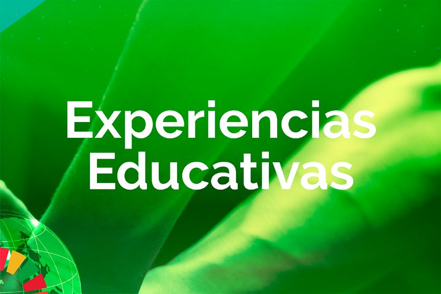 Experiencias educativas