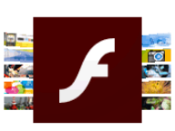 Deberá instalar Flash y actualizarlo periódicamente