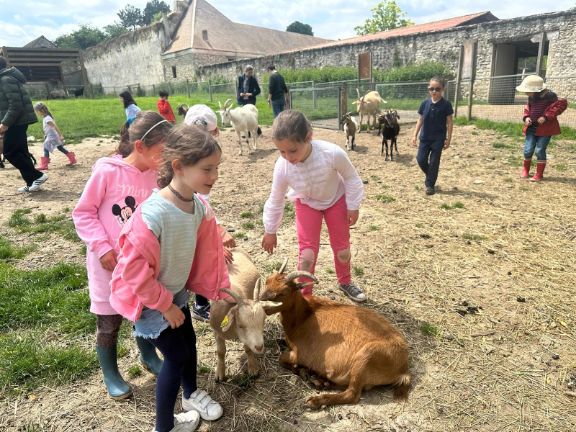 Algunos alumnos dando de comer a los animales de la granja