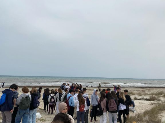 Los alumnos en la playa