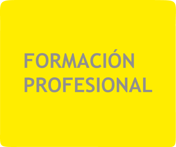 Formación profesional