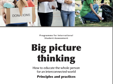 big-picture-thinking-educating-global-competence