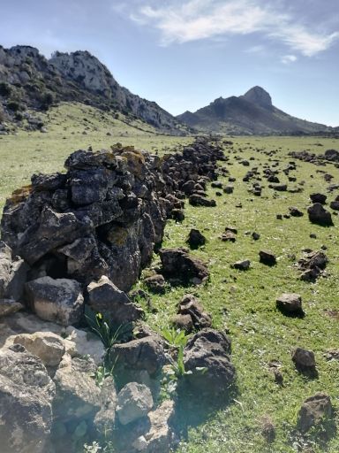 La muralla infinita