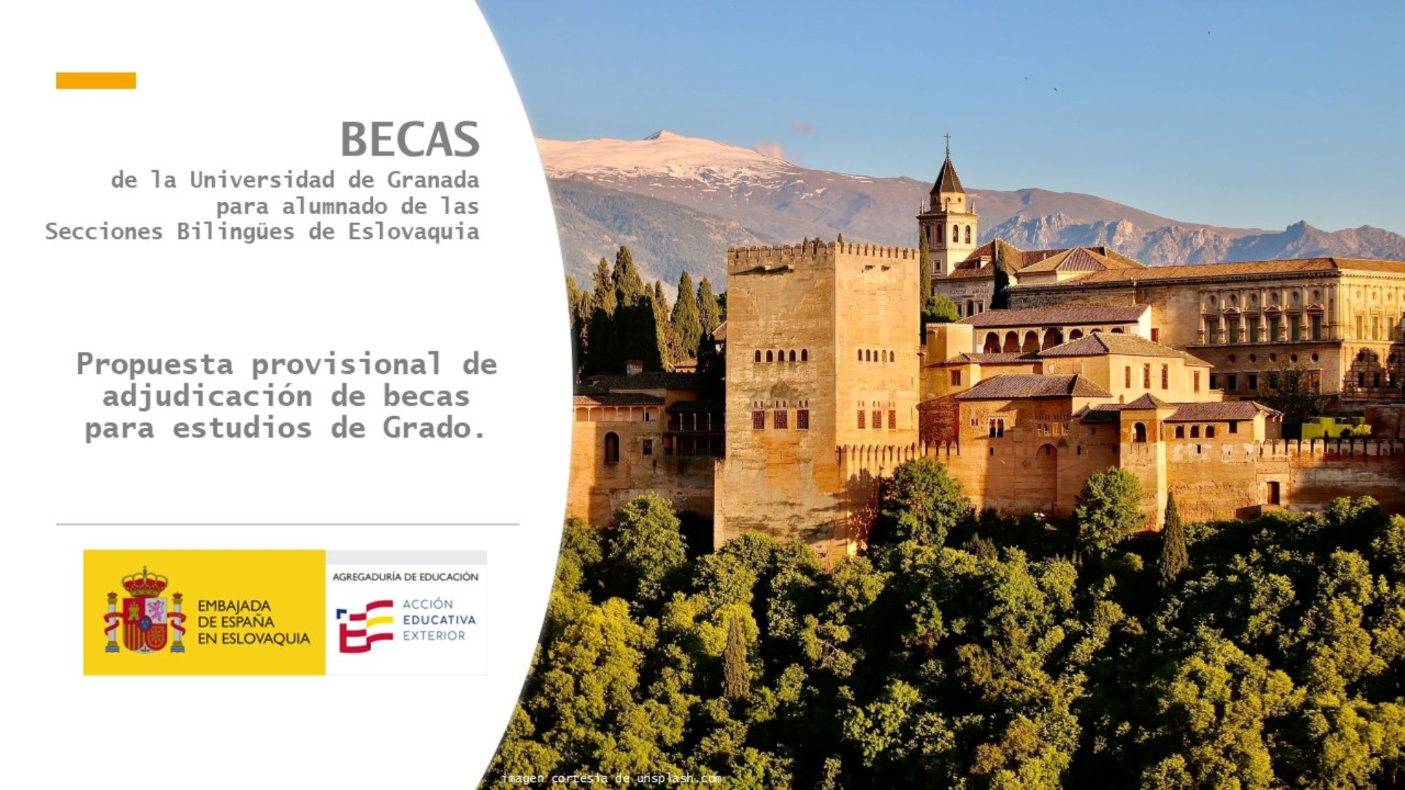 becas Universidad de Granada 2022