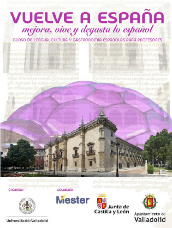 Cartel cursos Universidad de Valladolid