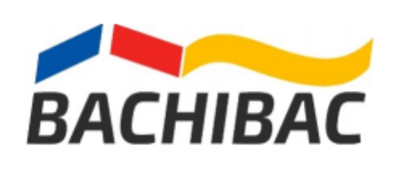 Nuevo logo Bachibac