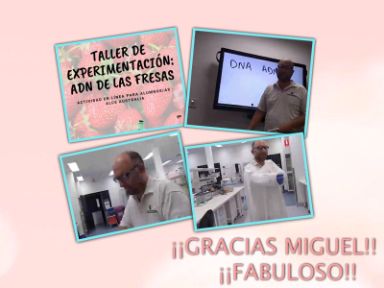 Taller de extracción del ADN de las fresas con el investigador Miguel Hernández de SRAP