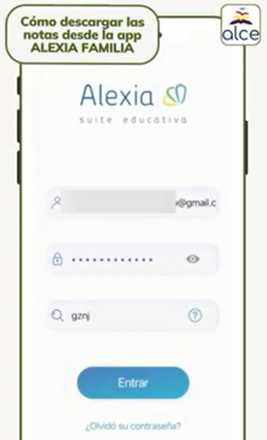 Tutorial para descargar las notas desde la App Alexia Familia