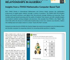 How do students investigate relationships in algebra? (TIMSS 2019)