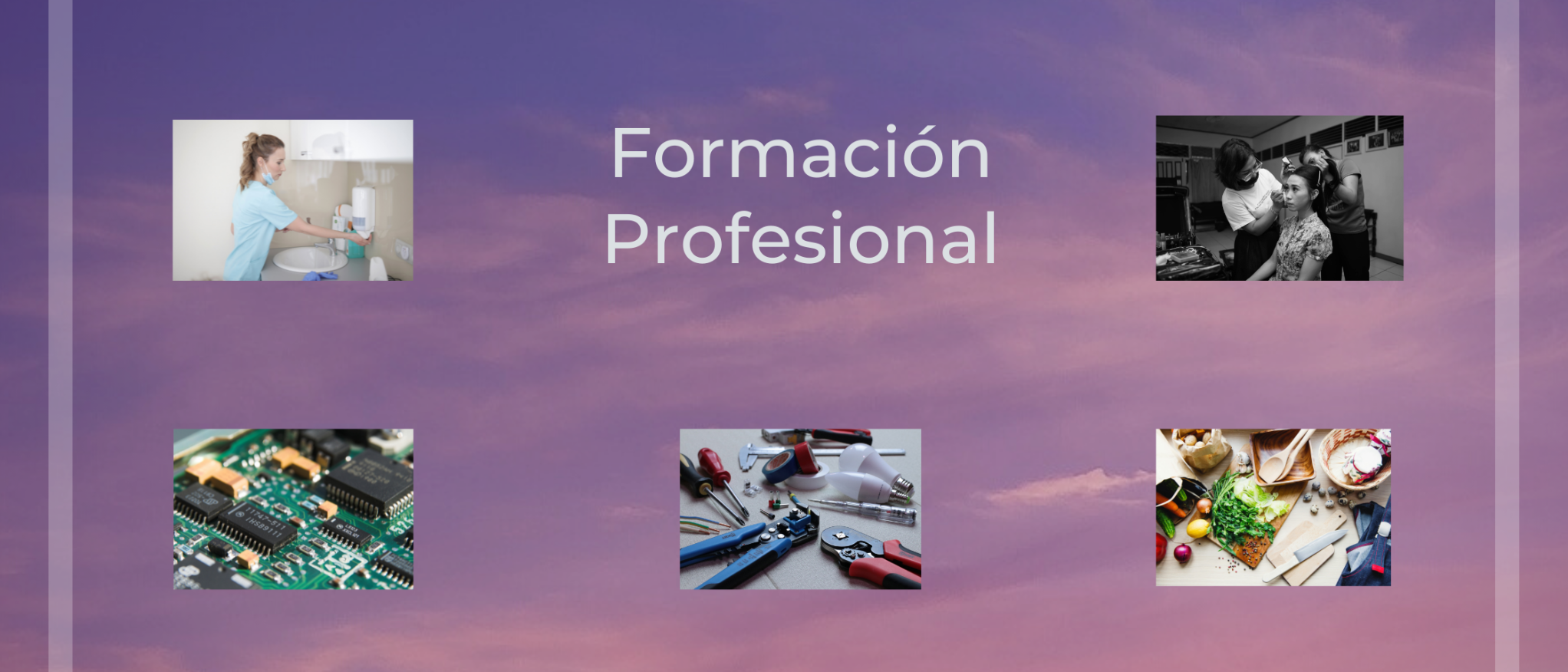 Formación Profesional