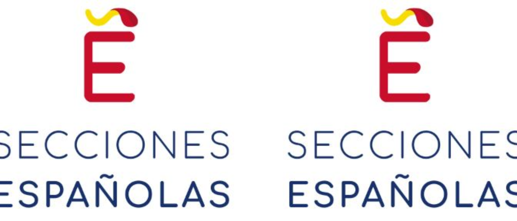 Logo Secciones Internacionales