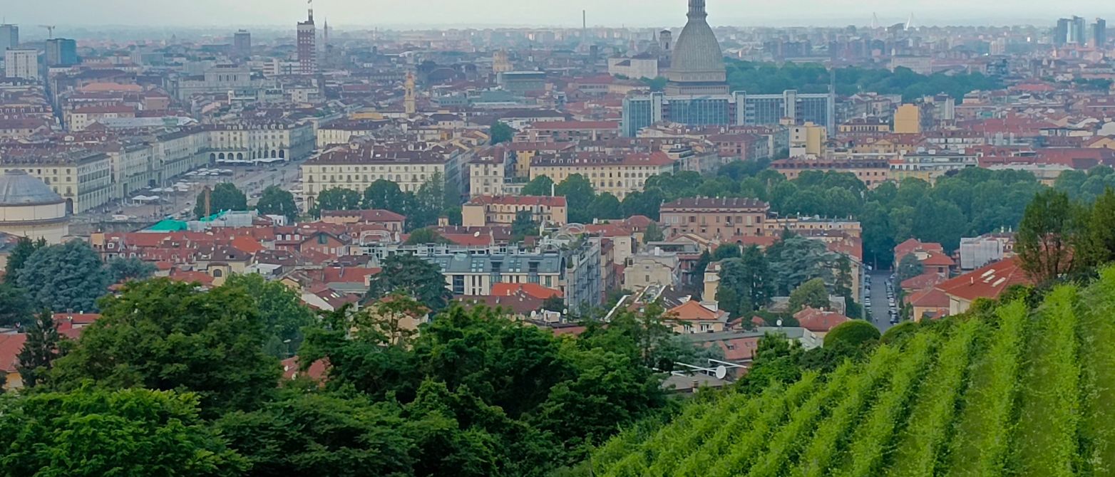 Torino colline