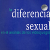 La diferencia sexual en el análisis de los videojuegos