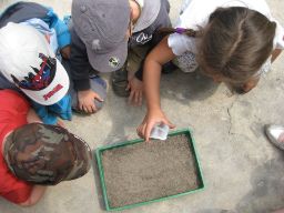 Niños alrededor de un arenero plantando semillas.