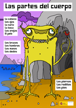 Las partes del cuerpo